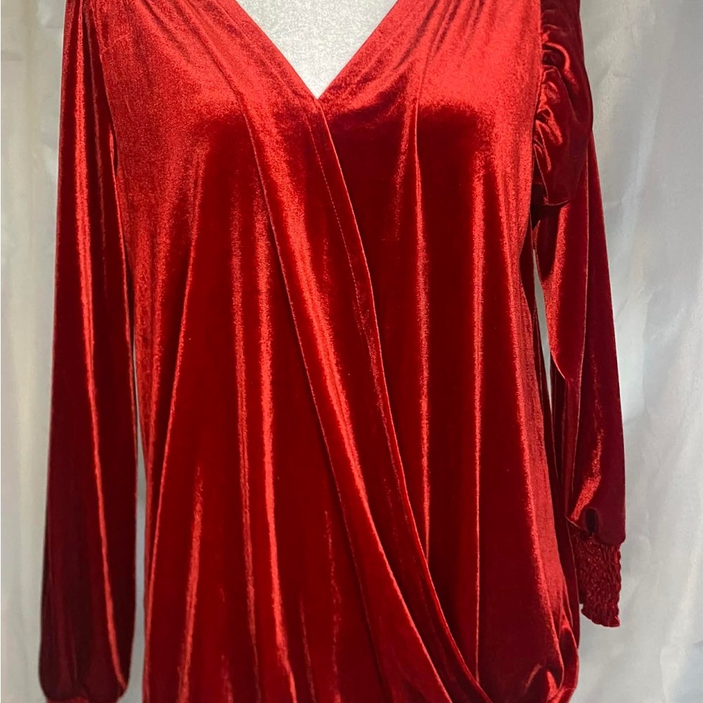 Wonderly Red Velvet Draped Surplice V-Neck Blouse - Size Medium